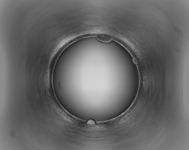 X0000111601270200907231228