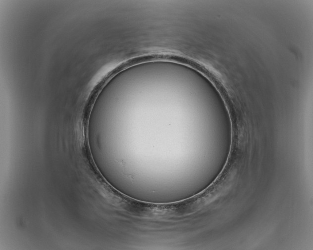 X0000111601271200907231228