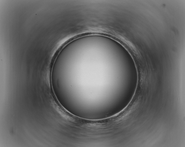 X0000111601272200907231228