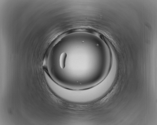 X0000111601273200907231228