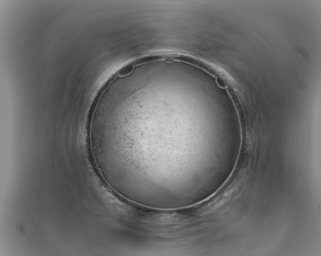 X0000111601279200907231228