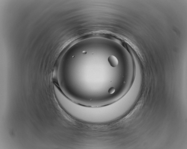 X0000111601281200907231228