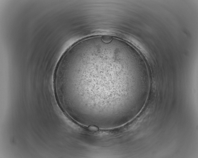 X0000111601283200907231228