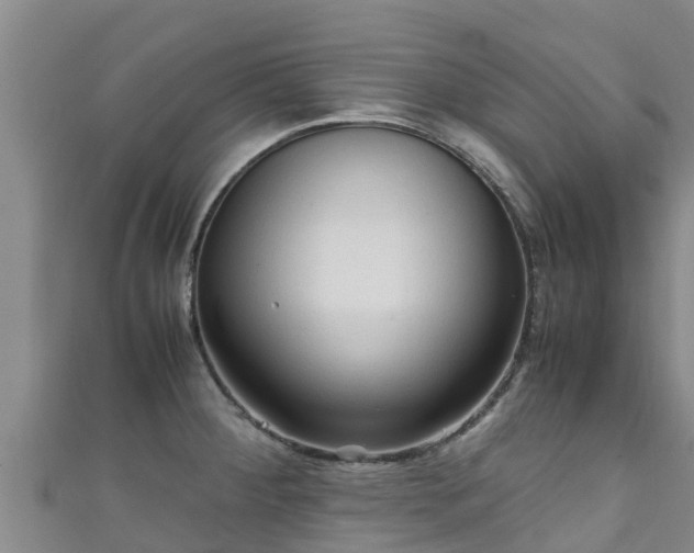 X0000111601284200907231228