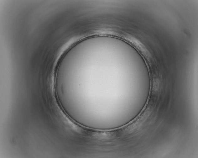 X0000111601286200907231228