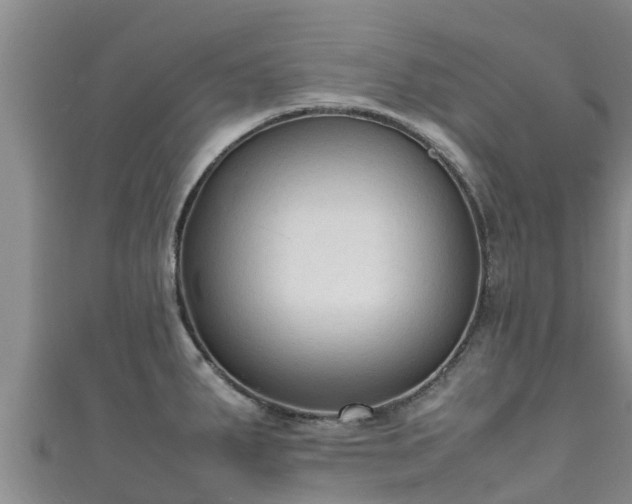 X0000111601287200907231228