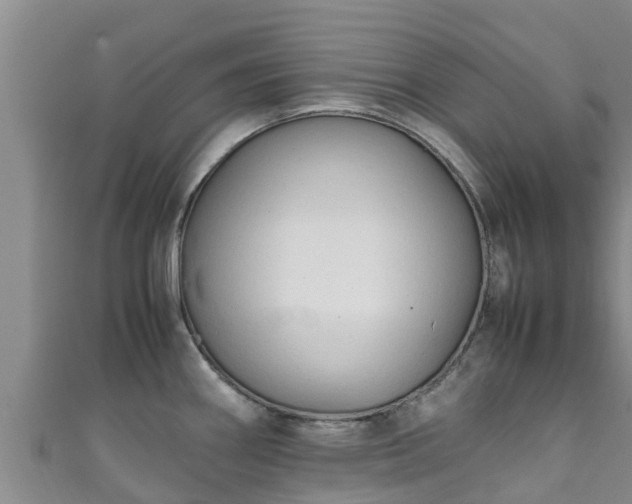 X0000111601290200907231228