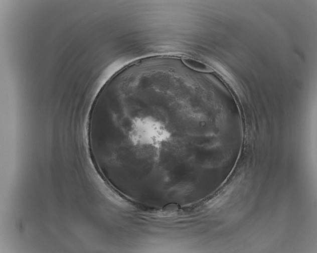 X0000111601291200907231228