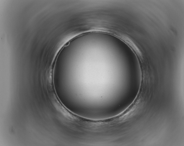 X0000111601292200907231228