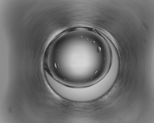 X0000111601293200907231228