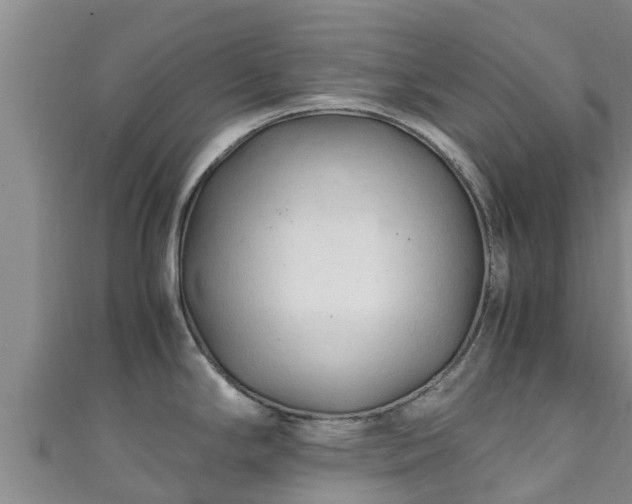 X0000111601294200907231228