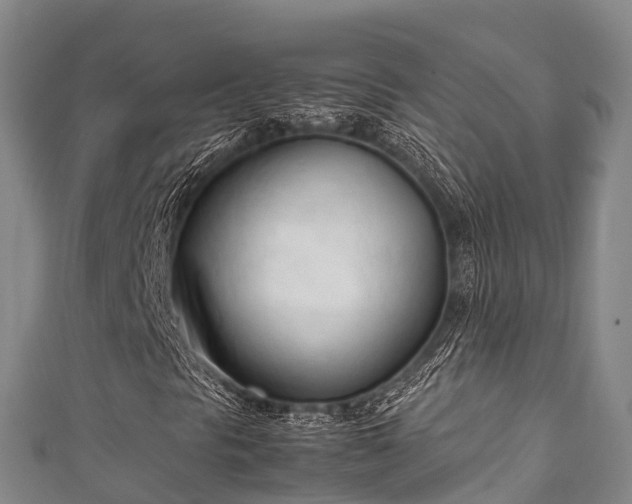 X0000111601297200907231227