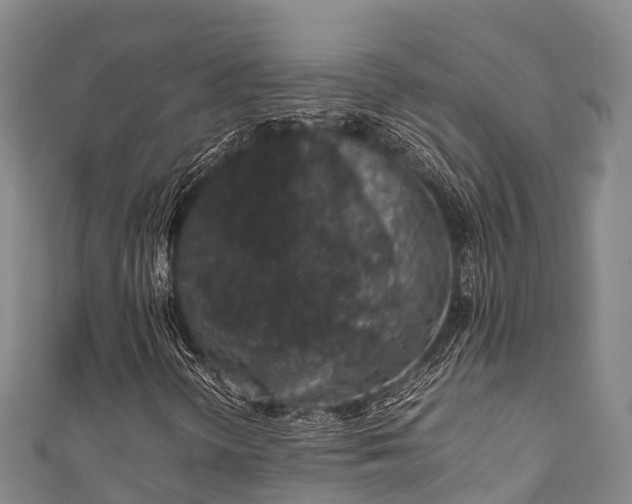 X0000111601298200907231227