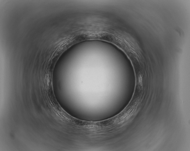 X0000111601300200907231227
