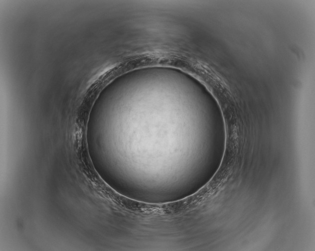 X0000111601302200907231227