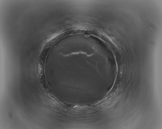 X0000111601303200907231227