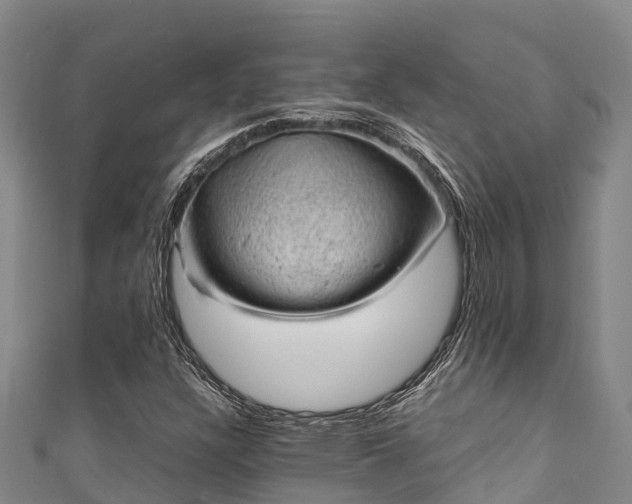 X0000111601304200907231227