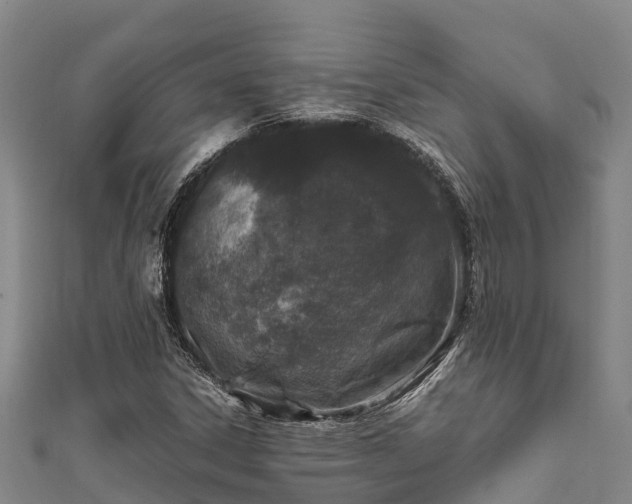 X0000111601306200907231227