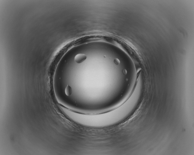 X0000111601310200907231227