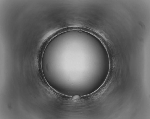X0000111601311200907231227