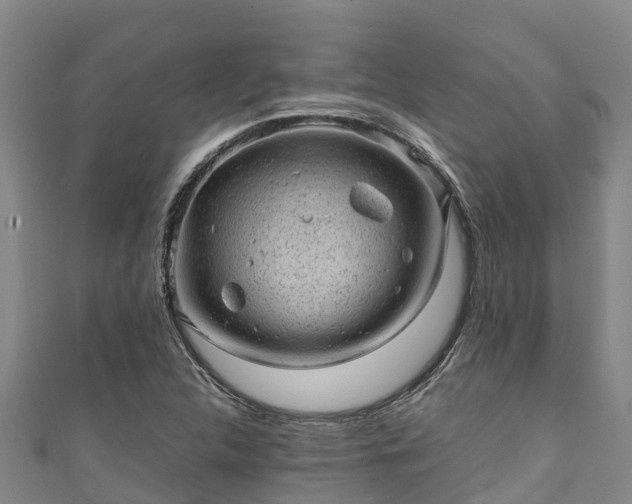 X0000111601312200907231227