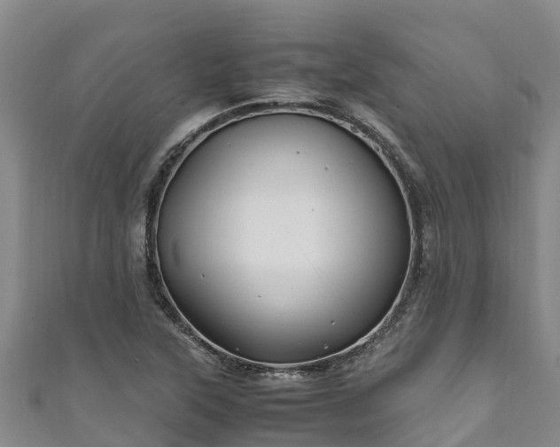 X0000111601315200907231227