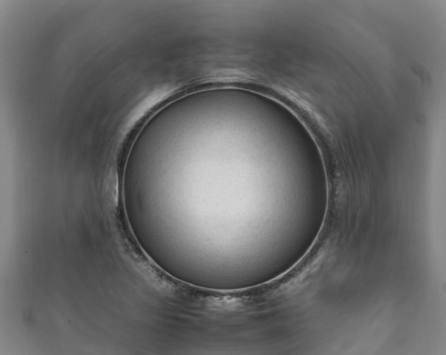 X0000111601317200907231227