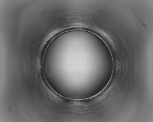 X0000111601318200907231227