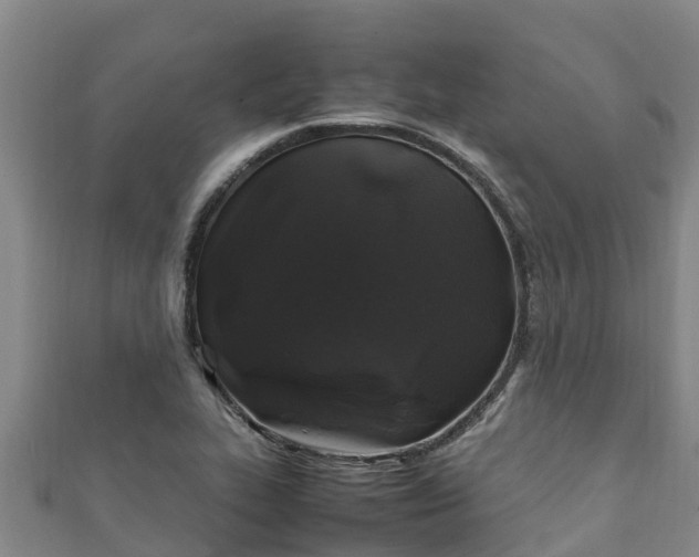 X0000111601319200907231227