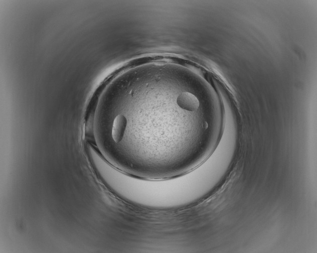 X0000111601320200907231227