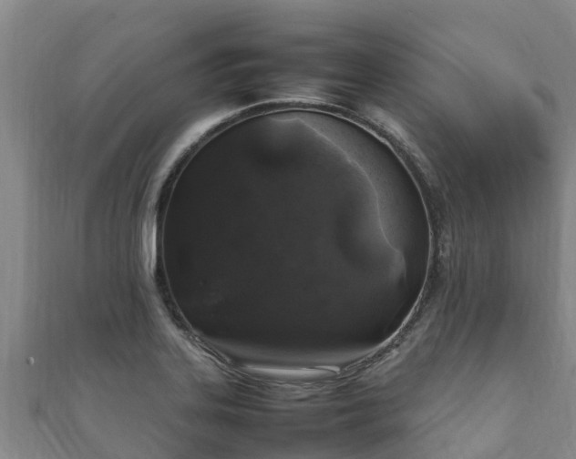 X0000111601323200907231227