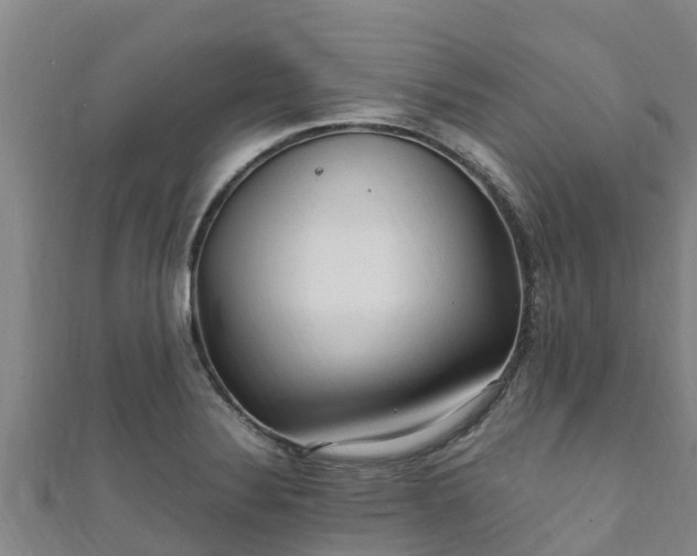 X0000111601324200907231227