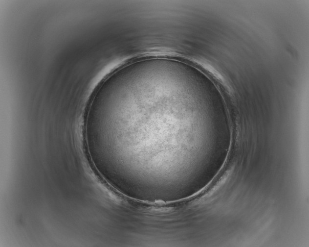 X0000111601325200907231227