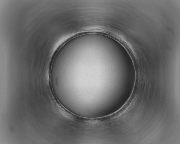 X0000111601328200907231227
