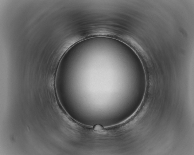 X0000111601329200907231227