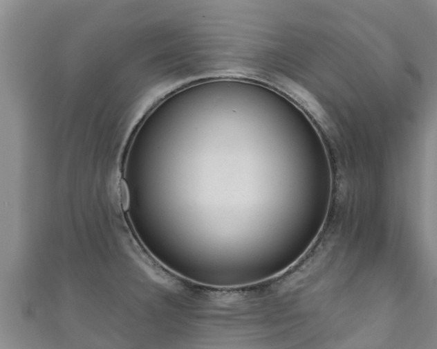 X0000111601332200907231227