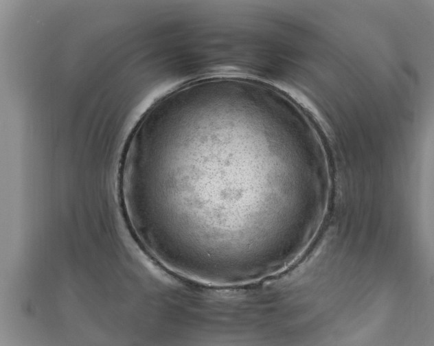 X0000111601333200907231228