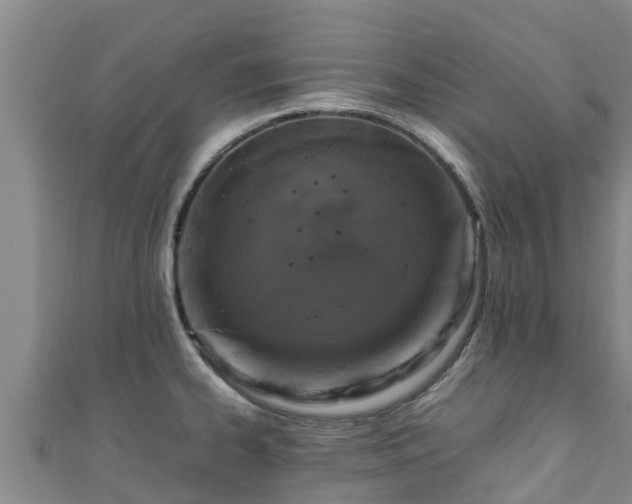 X0000111601334200907231228
