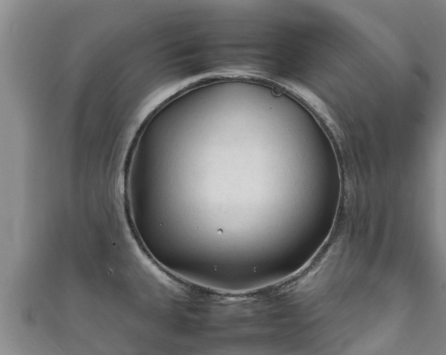 X0000111601335200907231228