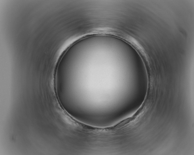 X0000111601336200907231228