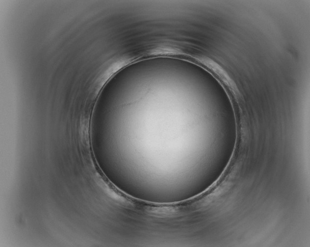 X0000111601337200907231228