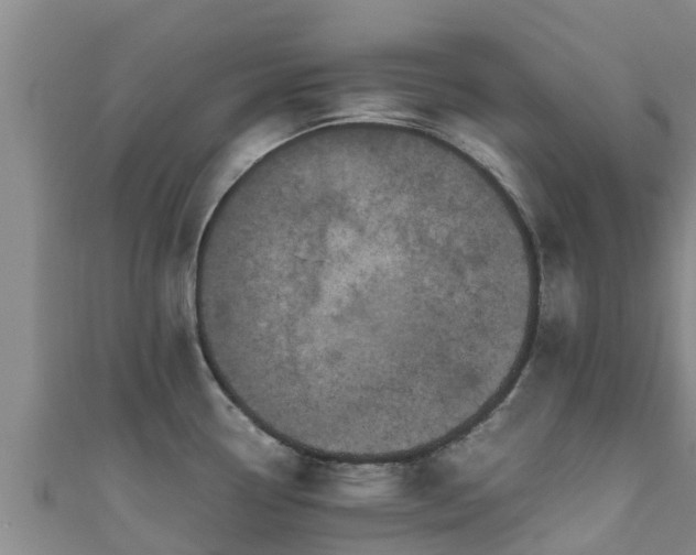 X0000111601338200907231228