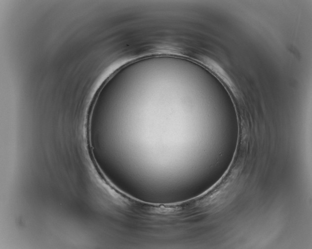 X0000111601339200907231228
