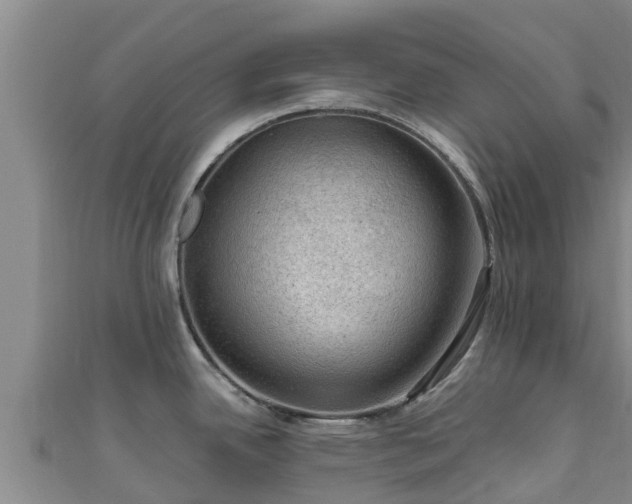 X0000111601342200907231228