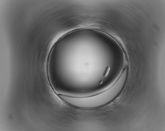 X0000111601344200907231228