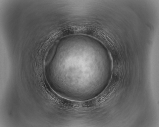 X0000111601345200907231227