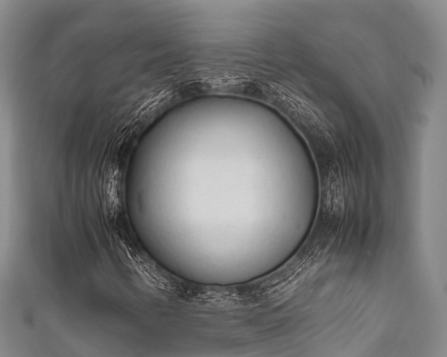 X0000111601346200907231227