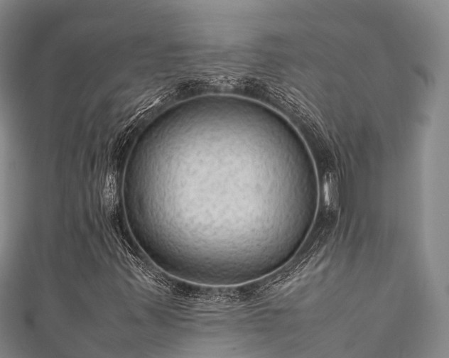 X0000111601347200907231227