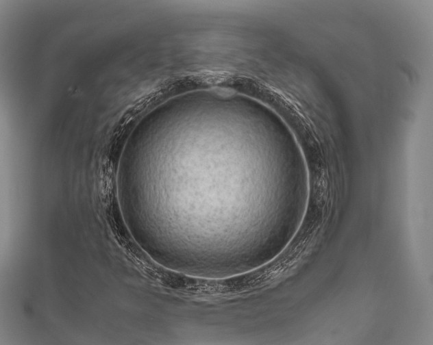 X0000111601349200907231227