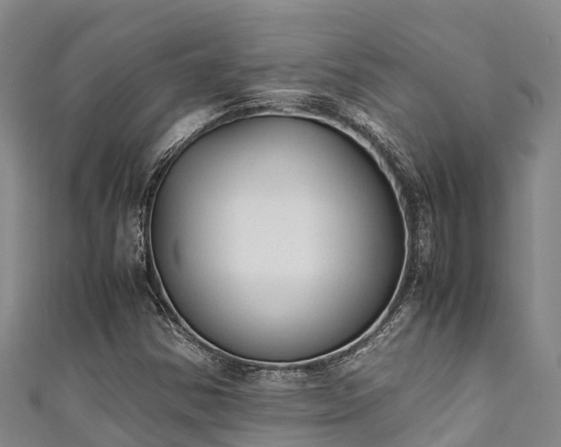 X0000111601354200907231227